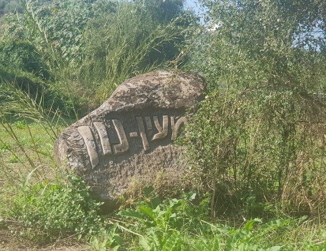 עין נון מגדל כנרת