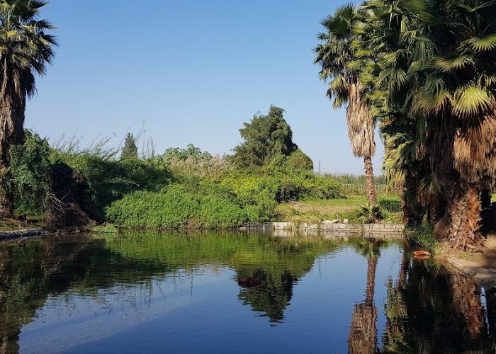 עין נון מגדל כנרת