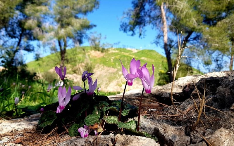 גן לאומי תל לכיש