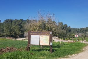 יער המלאכים – שחריה