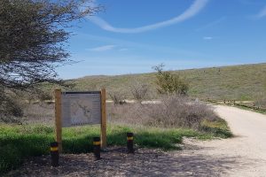 שמורת הטבע פורה וסובב מאגר פורה - טיול נוף ופריחה