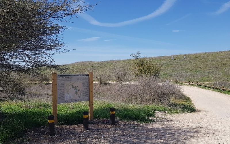 שמורת הטבע פורה וסובב מאגר פורה - טיול נוף ופריחה