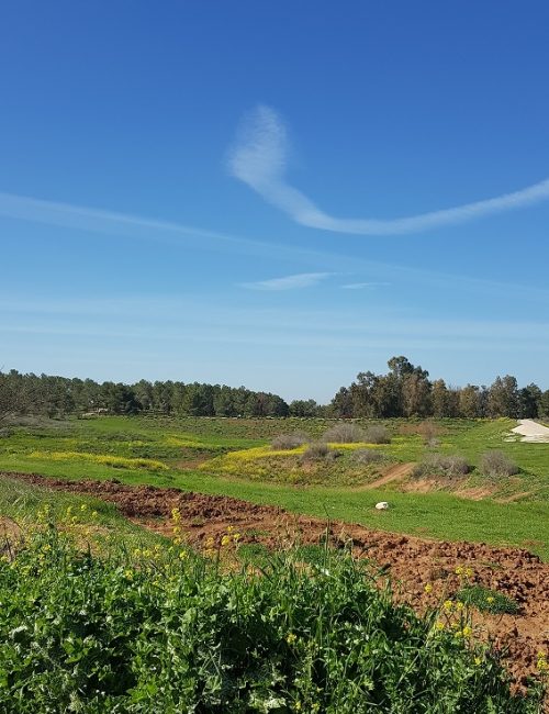 שמורת הטבע פורה וסובב מאגר פורה - טיול נוף ופריחה