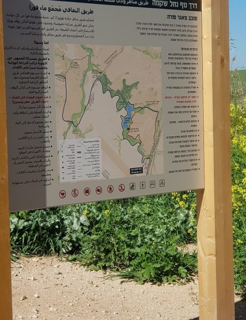 שמורת הטבע פורה וסובב מאגר פורה - טיול נוף ופריחה