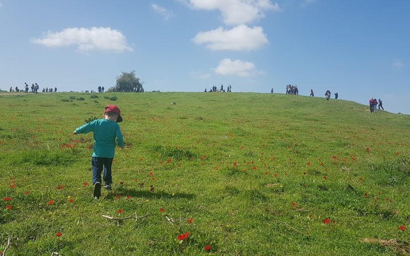 גבעת הכלניות – קבר אריאל ולילי שרון מול חוות השקמים