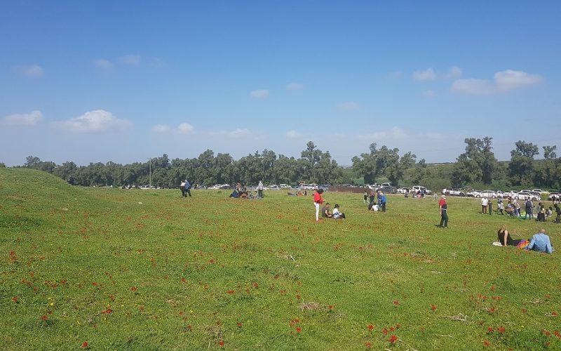 גבעת הכלניות – קבר אריאל ולילי שרון מול חוות השקמים