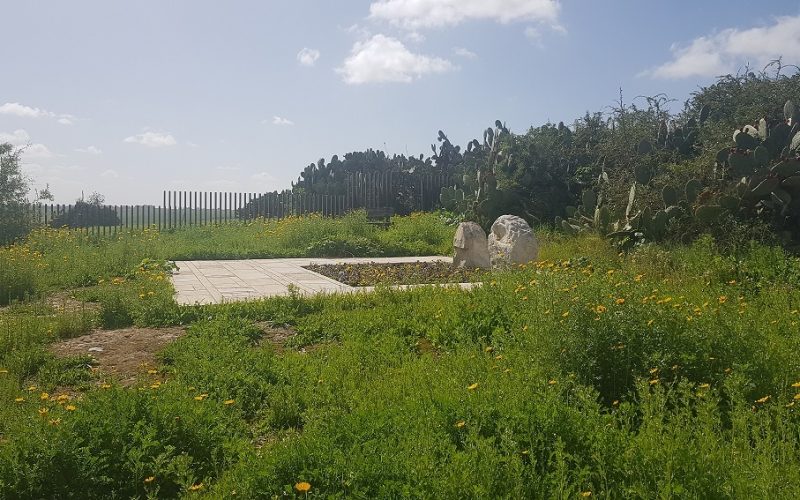 גבעת הכלניות – קבר אריאל ולילי שרון מול חוות השקמים