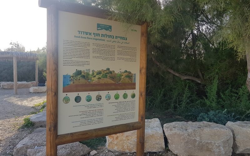 הפארק האקולוגי מצודת ים אשדוד