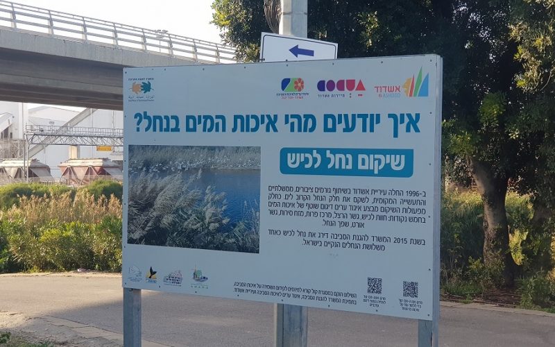 פארק נחל לכיש באשדוד – טבע, חיות ושעשועים והכל בחינם