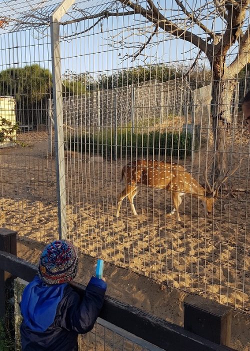 פארק נחל לכיש באשדוד – טבע, חיות ושעשועים והכל בחינם/