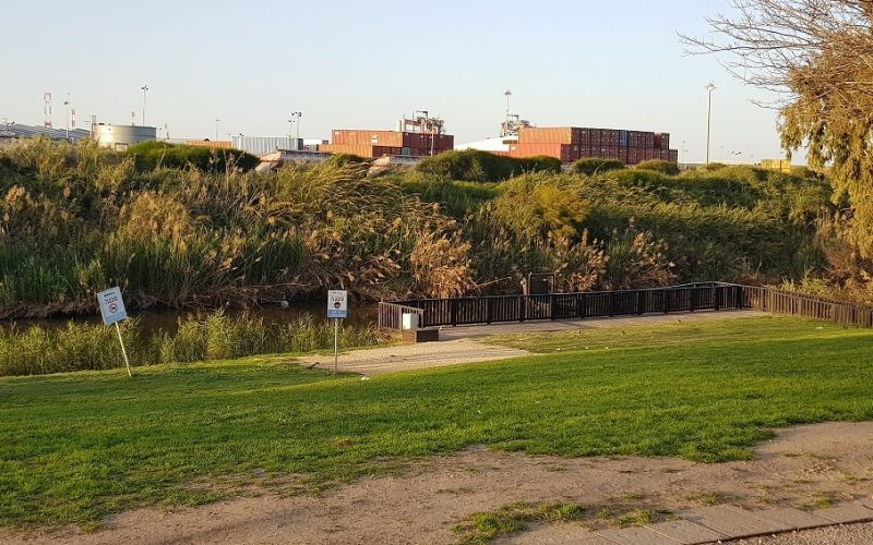 פארק נחל לכיש באשדוד – טבע, חיות ושעשועים והכל בחינם