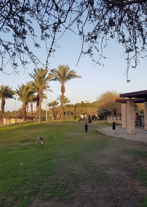 פארק נחל לכיש באשדוד – טבע, חיות ושעשועים והכל בחינם