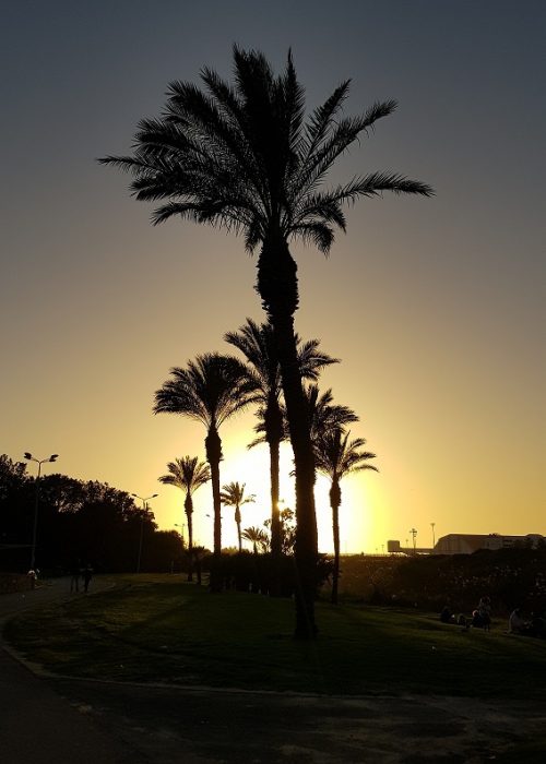 פארק נחל לכיש באשדוד – טבע, חיות ושעשועים והכל בחינם