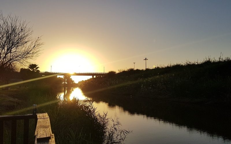 פארק נחל לכיש באשדוד – טבע, חיות ושעשועים והכל בחינם