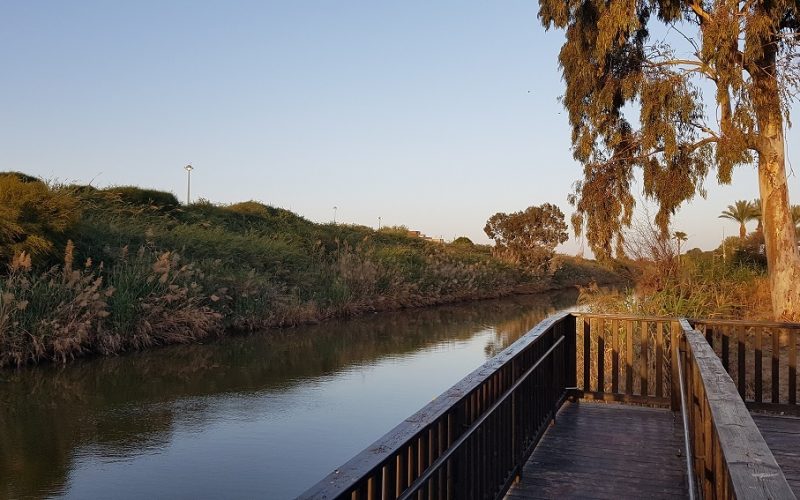 פארק נחל לכיש באשדוד – טבע, חיות ושעשועים והכל בחינם