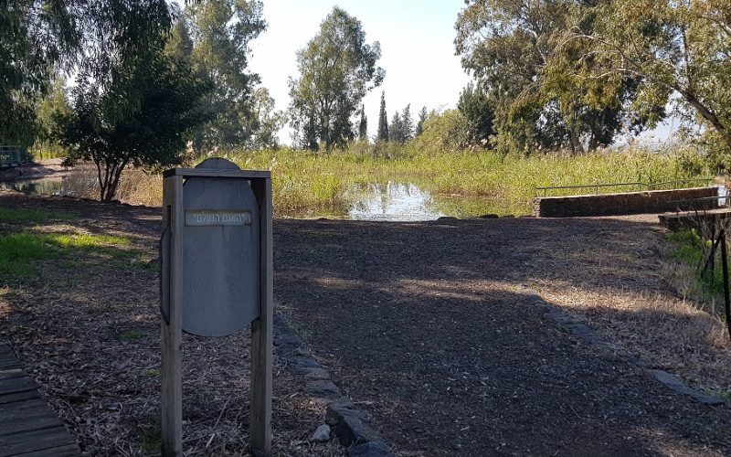 גן הפסלים והאגם הנעלם בכפר סאלד – מקום לעצירה קצרה