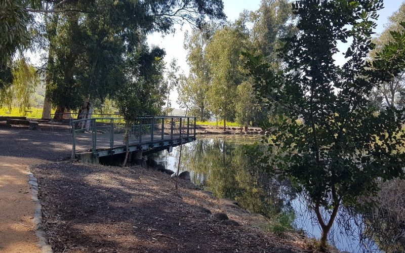 גן הפסלים והאגם הנעלם בכפר סאלד – מקום לעצירה קצרה