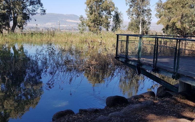 גן הפסלים והאגם הנעלם בכפר סאלד – מקום לעצירה קצרה