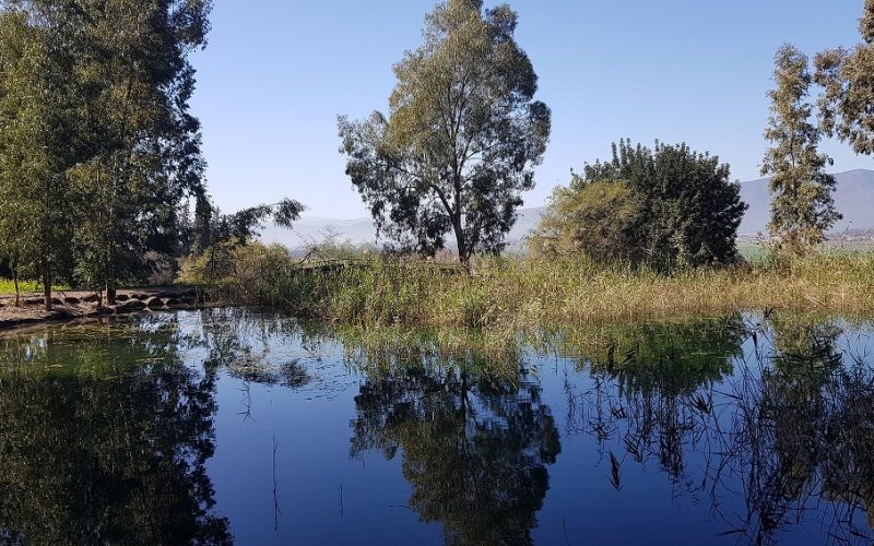 גן הפסלים והאגם הנעלם בכפר סאלד – מקום לעצירה קצרה