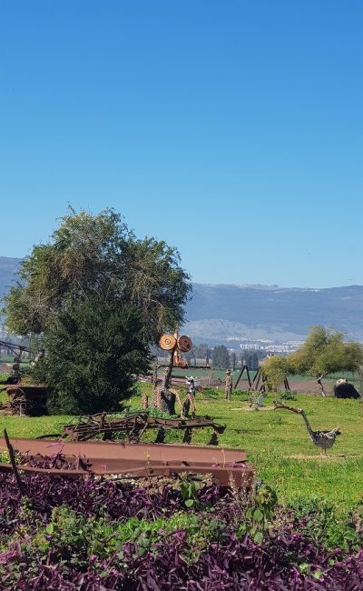 גן הפסלים והאגם הנעלם בכפר סאלד – מקום לעצירה קצרה