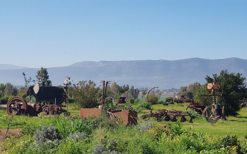 גן הפסלים והאגם הנעלם בכפר סאלד – מקום לעצירה קצרה