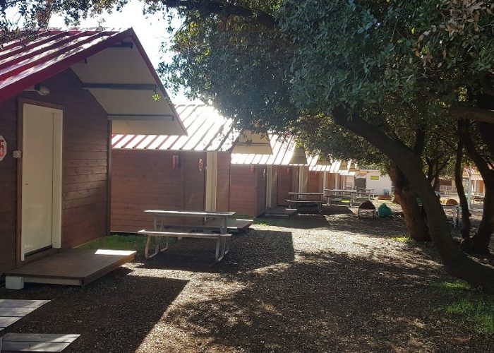 יער האיילים - באודם שבצפון רמת הגולן