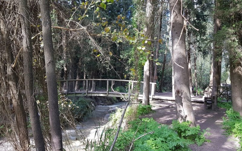 נחל השופט רמות מנשה