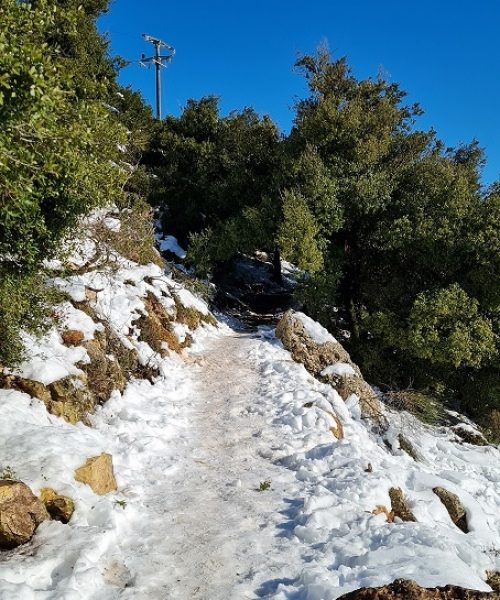 שביל הפסגה הר מירון בשלג