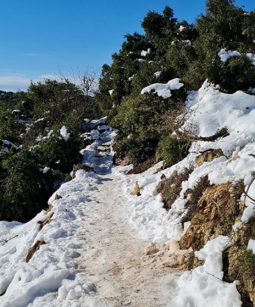 שביל הפסגה הר מירון בשלג