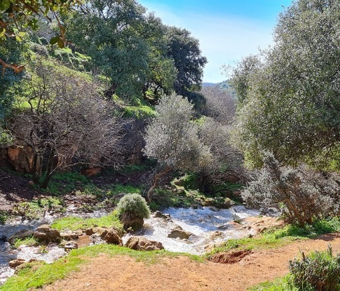 מפלי פרוד נחל צלמון עליון