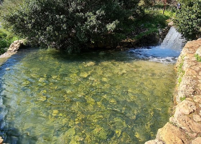 מעיין שפר עין רמיאל