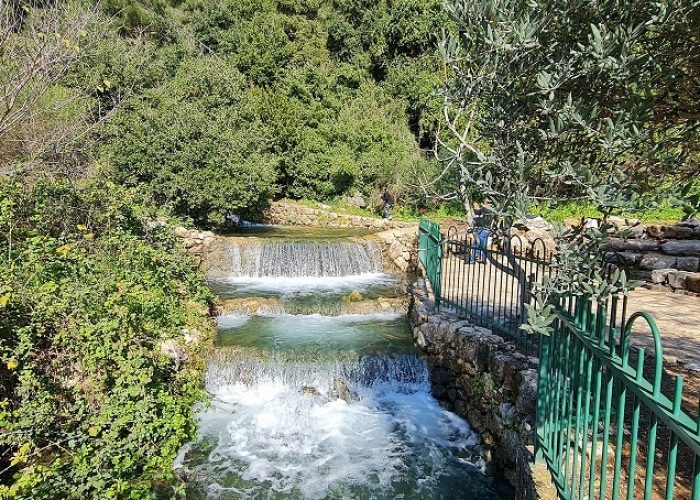 מעיין שפר עין רמיאל