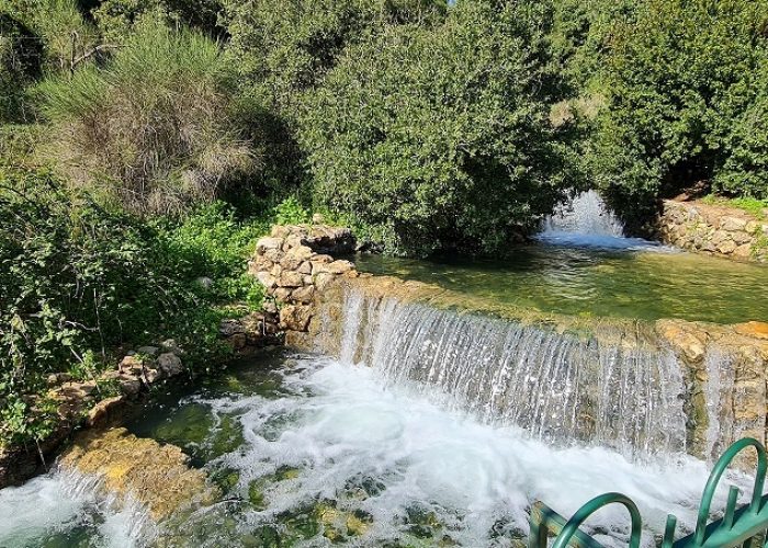 מעיין שפר עין רמיאל