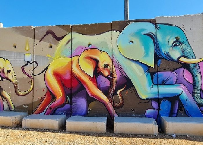 פרויקט "קירות מדברים" בשתולה