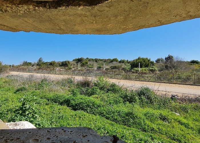 פרויקט "קירות מדברים" בשתולה