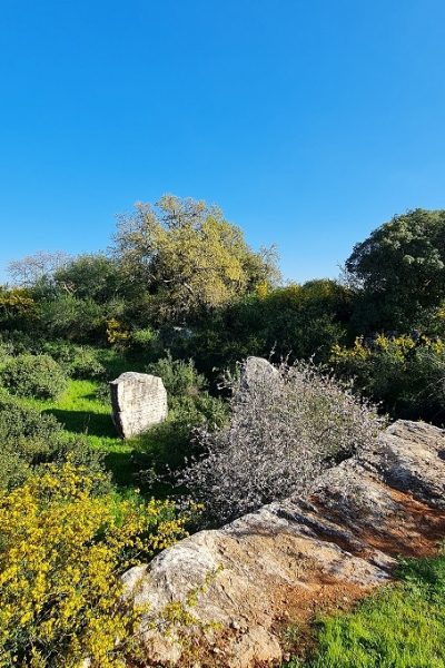 נקיקי יפתח – פארק הנינג'ה של הטבע