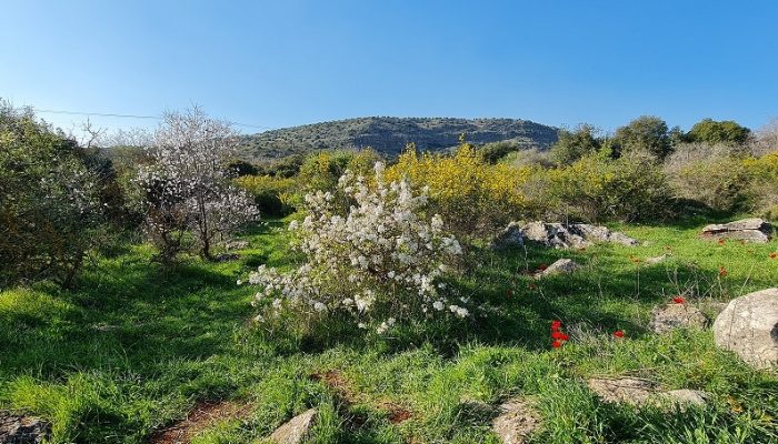 נקיקי יפתח – פארק הנינג'ה של הטבע