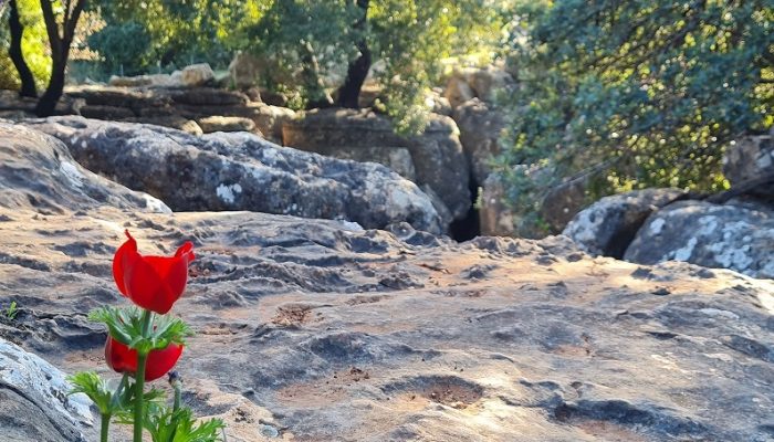 נקיקי יפתח – פארק הנינג'ה של הטבע