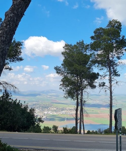 דרך נוף הגלבוע - כתף שאול וחוות הרוח