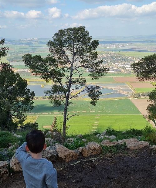 דרך נוף הגלבוע - כתף שאול וחוות הרוח