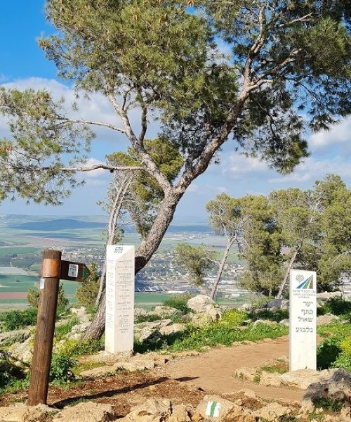 דרך נוף הגלבוע - כתף שאול וחוות הרוח