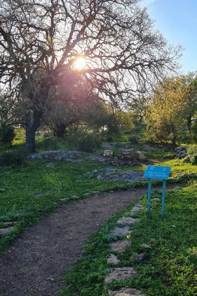 שמורת הטבע אלוני אבא – שביל אלוני אבא