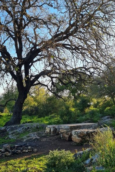 שמורת הטבע אלוני אבא – שביל אלוני אבא