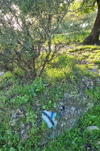 שמורת הטבע אלוני אבא – שביל אלוני אבא