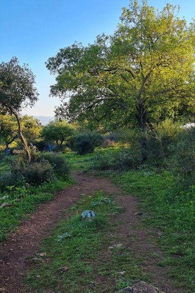 שמורת הטבע אלוני אבא – שביל אלוני אבא