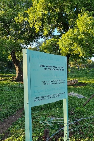 שמורת הטבע אלוני אבא – שביל אלוני אבא