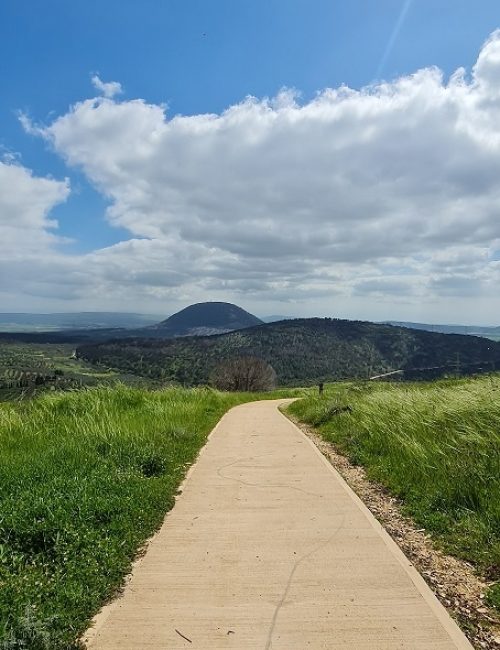 שמורת הטבע אירוס נצרתי – נצרת עלית נוף הגליל