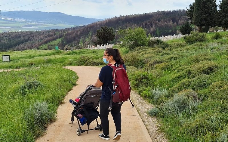 שמורת הטבע אירוס נצרתי – נצרת עלית נוף הגליל