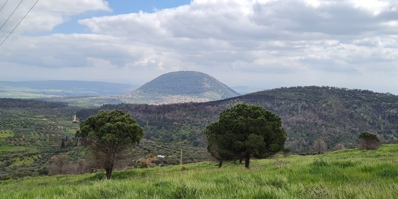שמורת הטבע אירוס נצרתי – נצרת עלית נוף הגליל