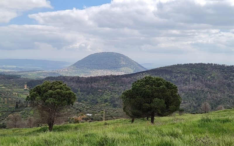 שמורת הטבע אירוס נצרתי – נצרת עלית נוף הגליל